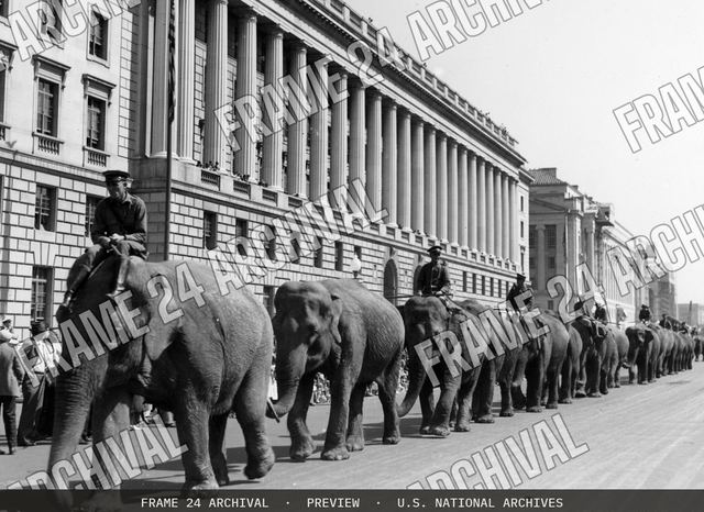 Hagenbeck-Wallace Circus parade on Constitution Avenue Washington, DC, vintage black and white photograph