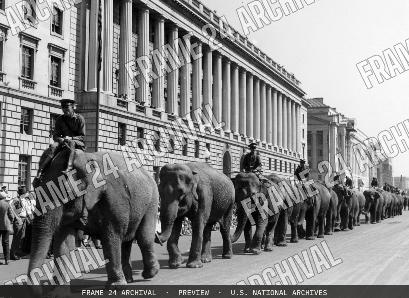 Hagenbeck-Wallace Circus parade on Constitution Avenue Washington, DC (1934), restored vintage black and white photograph