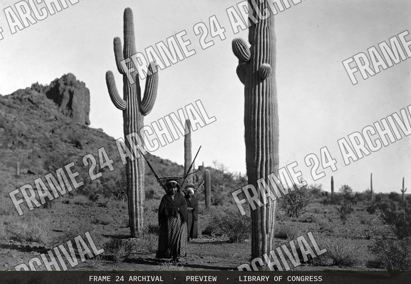 Hasen harvest (A) (1907), restored vintage black and white photograph
