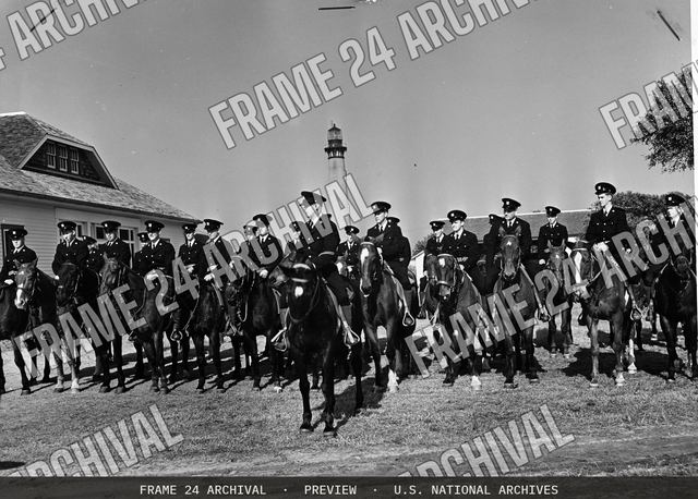Horses In The Coast Guard, vintage black and white photograph