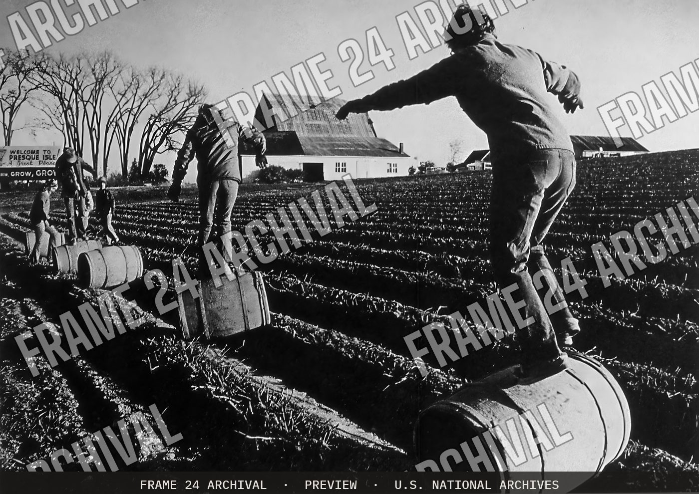 Poster of Harvest Break in Maine, restored vintage black and white photograph