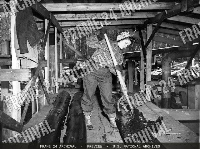 She Tries Her Hand At Bark Stripping, Turkey Pond, New Hampshire, vintage black and white photograph