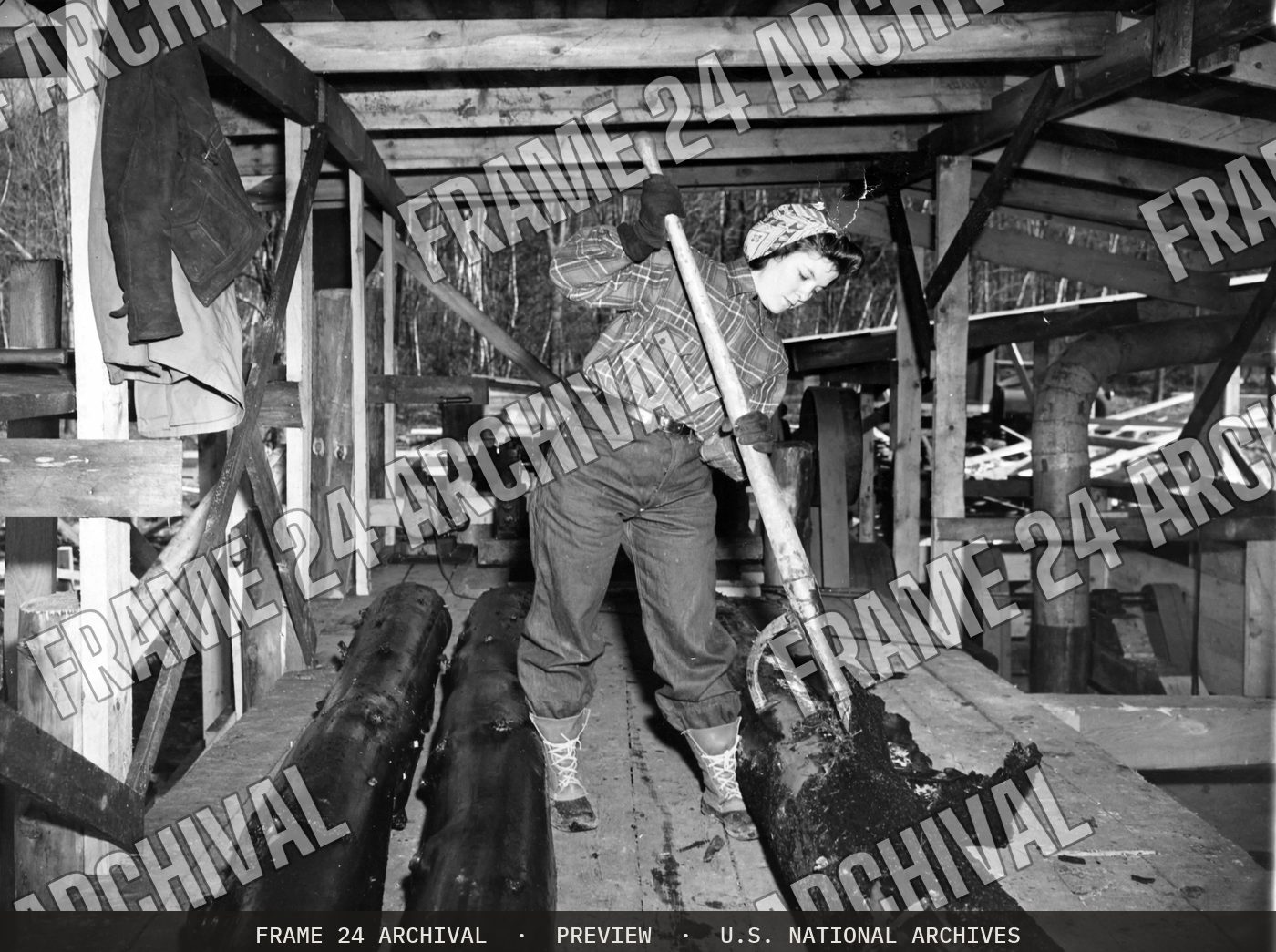 She Tries Her Hand At Bark Stripping, Turkey Pond, New Hampshire (1942), restored vintage black and white photograph